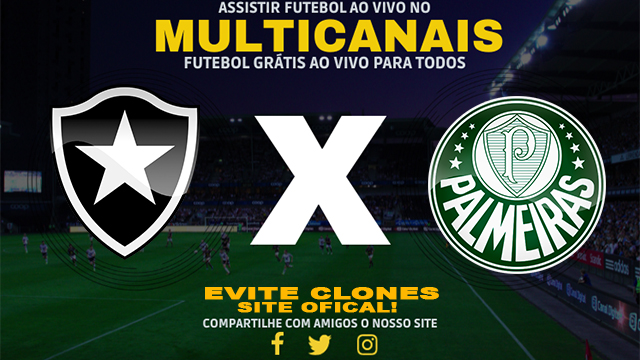 Assistir Botafogo x Palmeiras AO VIVO Online 17/07/2024